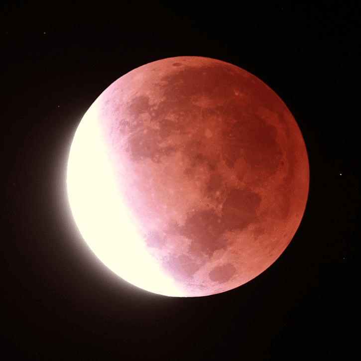 LE Time Lapse 01.gif